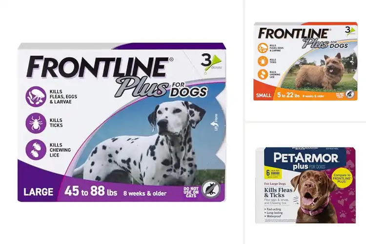 Detailed view of Best Tick And Flea Treatments For Dogs