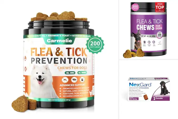 Detailed view of Best Tick Chewables For Dogs