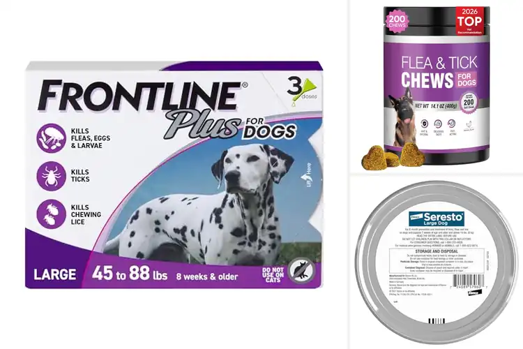 Detailed view of Best Tick Control Products for Dogs