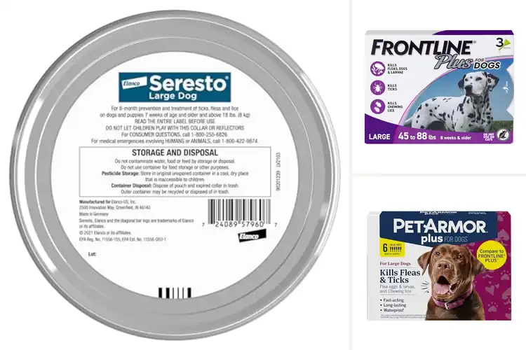 Detailed view of Best Tick Prevention for Dogs