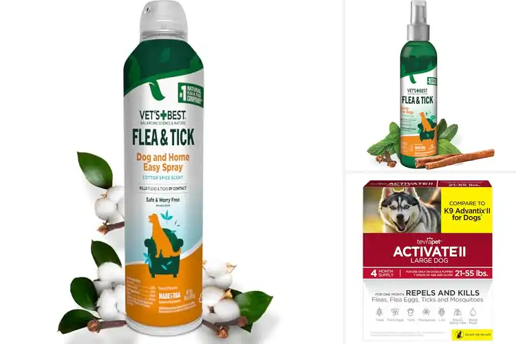 Detailed view of Best Tick Prevention Solutions