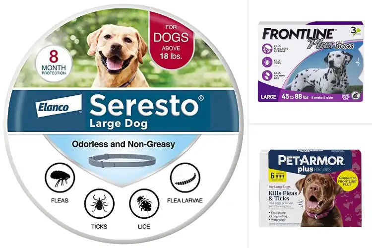 Detailed view of Best Tick Protection For Dogs: Simple, Effective, Happy Pets