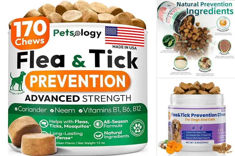 Detailed view of Best Tick Tablets For Dogs: Top 10 Safe & Effective Choices