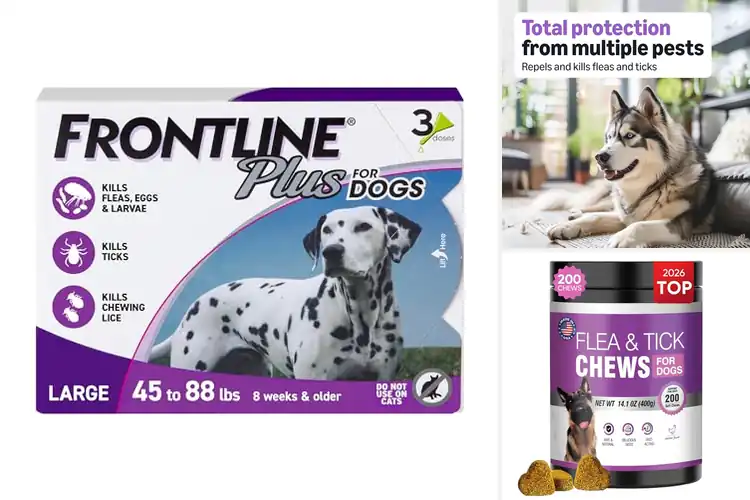 Detailed view of Best Tick Treatments