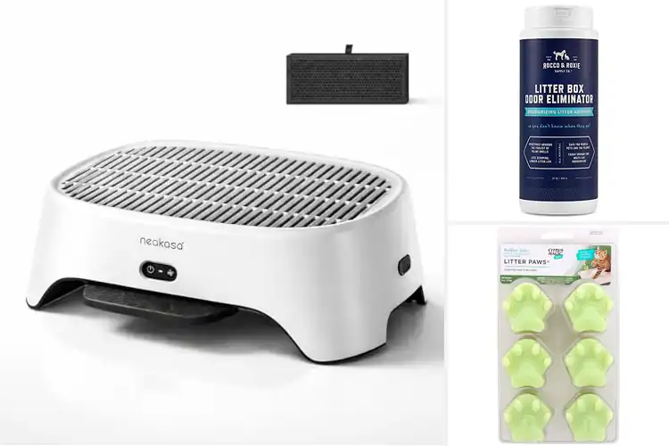 Detailed view of Best traditional litter box odor control