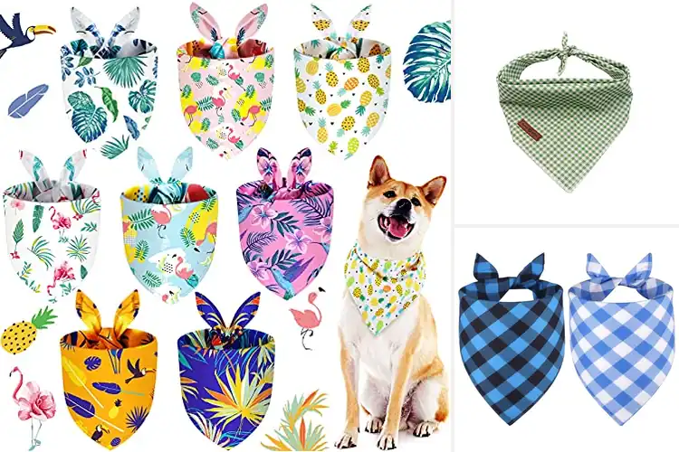 Detailed view of Best Triangle Bandana Size For Pets
