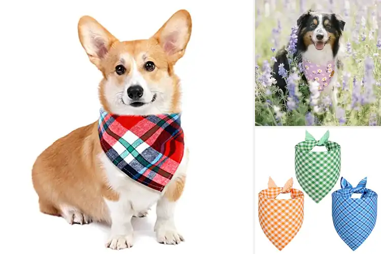 Detailed view of Best Triangle Dog Bandanas: Stylish Comfort for Your Pet