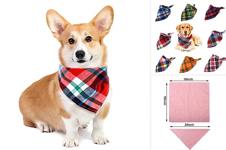 Detailed view of Best Triangle Dog Scarves
