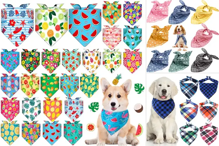 Detailed view of Best Triangle Size Bandanas For Small Medium Dogs
