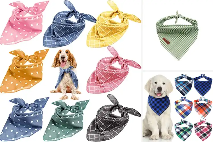 Detailed view of Best Triangle Sized Bandanas For Small Dogs