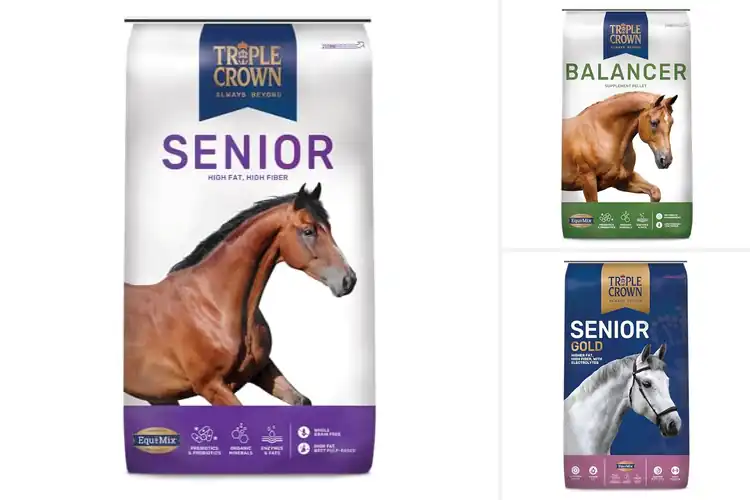 Detailed view of Best Triple Crown Feeds: Top 10 Picks for a Healthy Horse