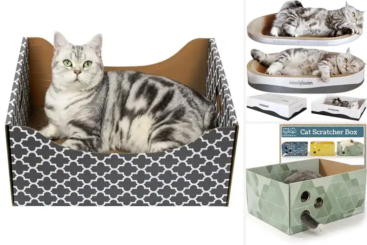 Detailed view of Best Ultra Large Cat Scratcher Box