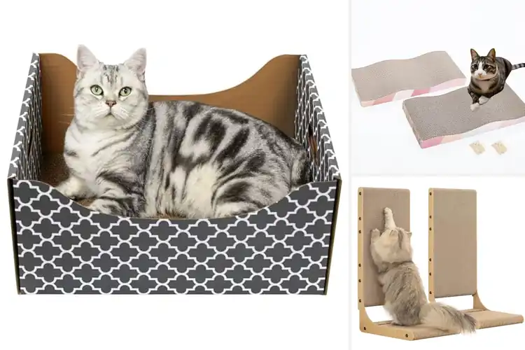 Detailed view of Best Ultra Large Cat Scratcher: Top 10 Picks for Happy Cats