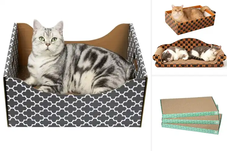 Detailed view of Best Ultra Large Cat Scratchers