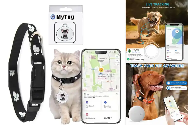 Detailed view of Best Universal Collar Trackers