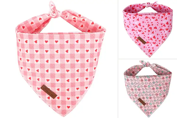 Detailed view of Best UP URARA Puppy Valentine Bandanas