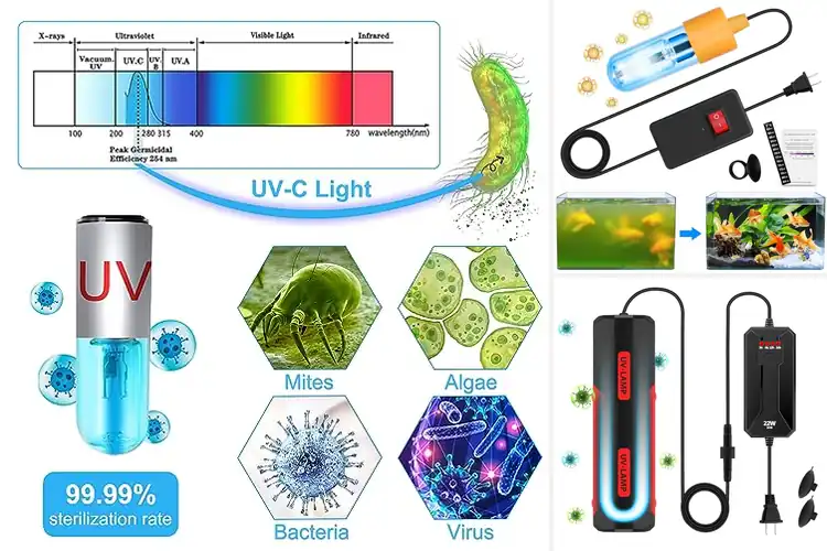 Detailed view of Best UV Aquarium Disinfection Lights