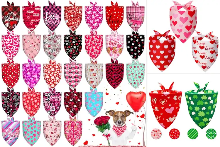 Detailed view of Best Valentine Bandanas For Dogs