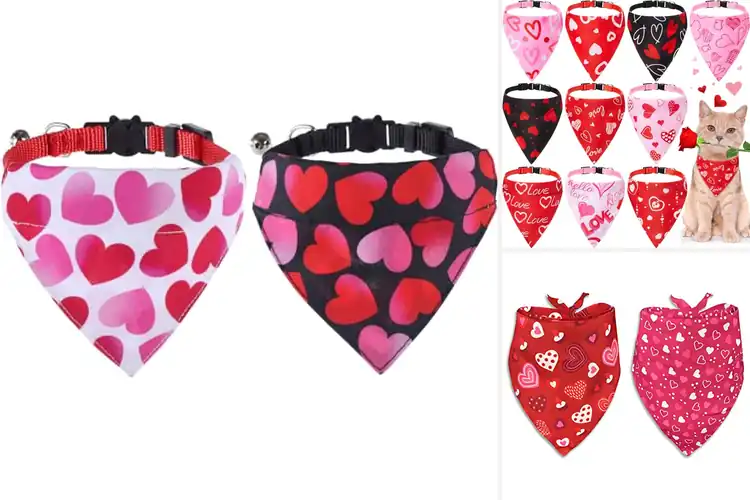 Detailed view of Best Valentine Cat Bandanas