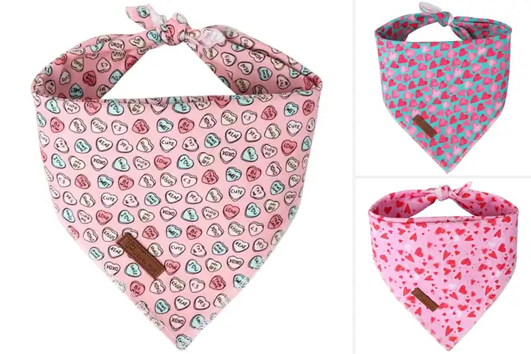 Detailed view of Best Valentine Dog Bandana Pink Heart