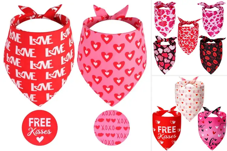 Detailed view of Best Valentine Dog Bandanas