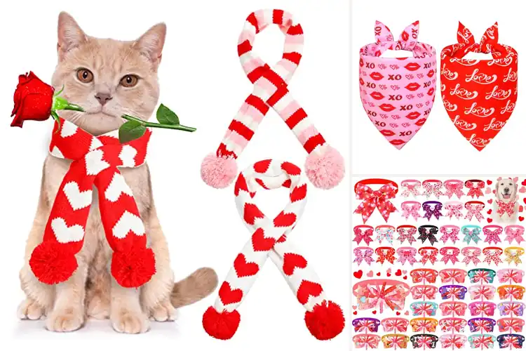 Detailed view of Best Valentine Pet Accessories