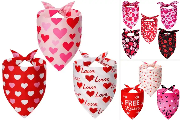 Detailed view of Best Valentine Pet Bandanas