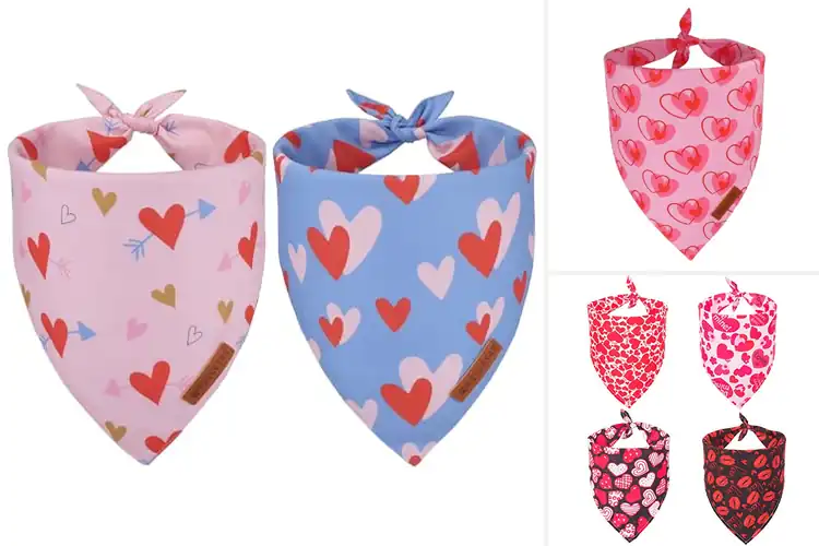 Detailed view of Best Valentine Pink Heart Bandana For Pets