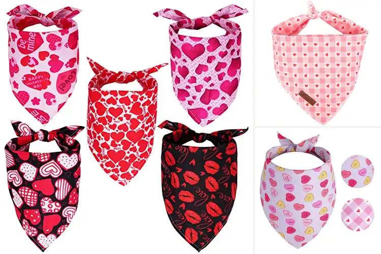Detailed view of Best Valentine Themed Bandanas For Cats And Dogs