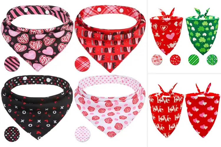Detailed view of Best Valentine Themed Pet Bandanas For Holidays