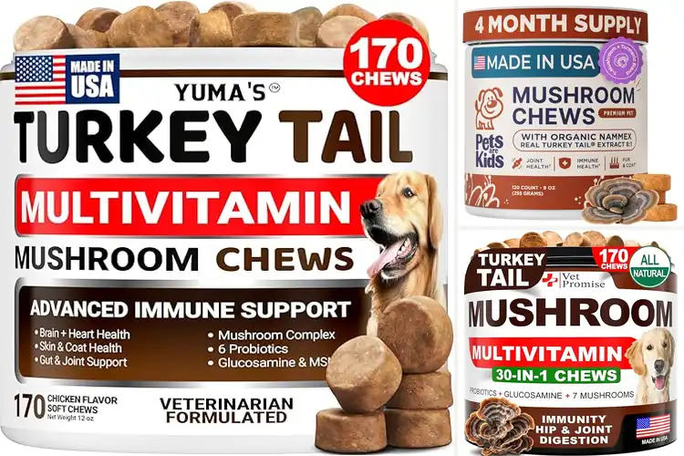 Detailed view of Best Vet-Formulated Mushroom Chews for Dogs