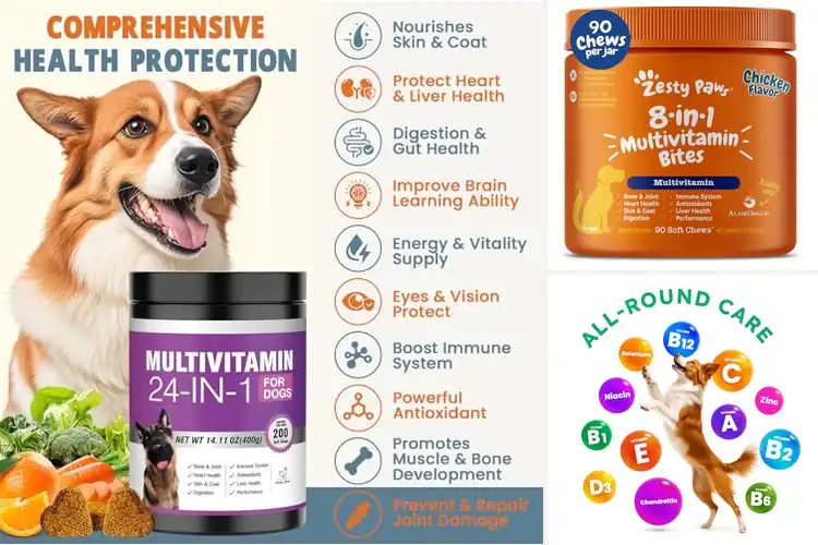Detailed view of Best Vitamins For Dogs