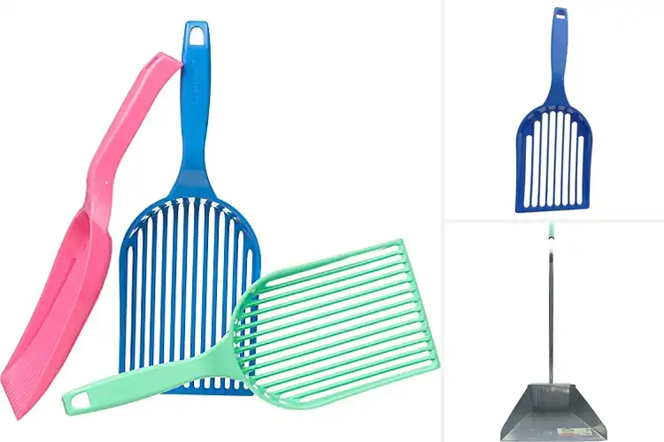 Detailed view of Best Waste Lifters: Top 10 Scoops for Effortless Pet Cleanup