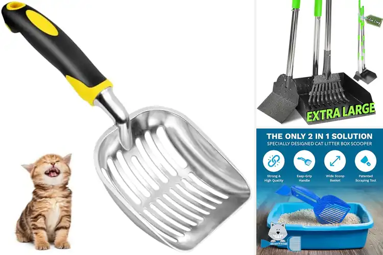 Detailed view of Best Waste Lifting Scoops