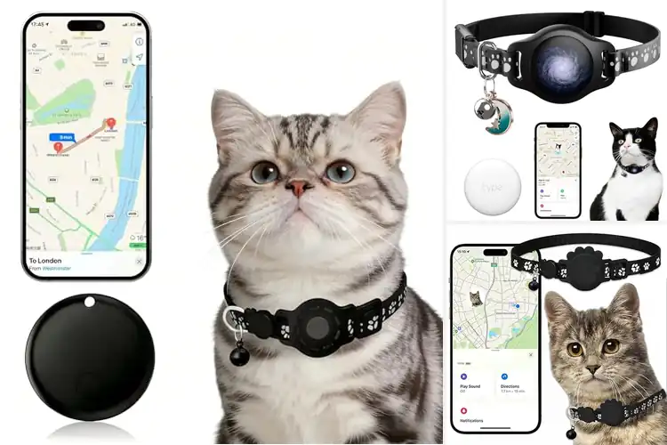 Detailed view of Best Water Resistant Cat GPS Collars