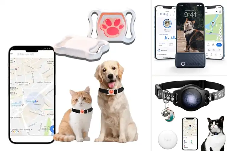 Detailed view of Best Water-Resistant Cat Trackers