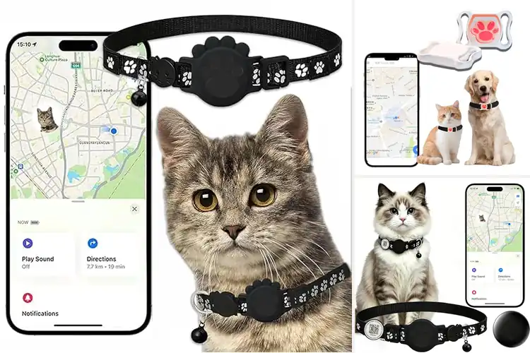 Detailed view of Best Water Resistant Cat Tracking Collar