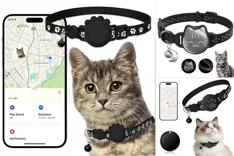Detailed view of Best Waterproof Cat GPS Collar