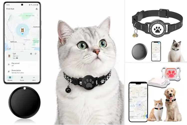 Detailed view of Best Waterproof Cat GPS Tracker Collar