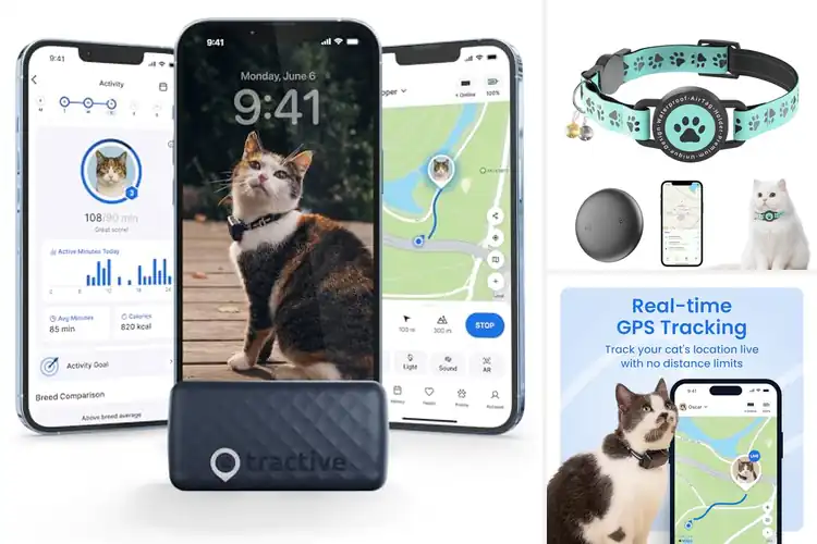 Detailed view of Best Waterproof Cat GPS Trackers