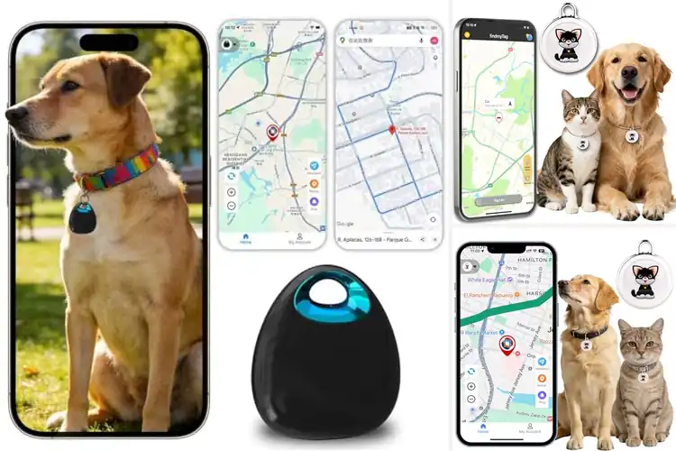 Detailed view of Best Waterproof Cat Trackers For Cats And Dogs