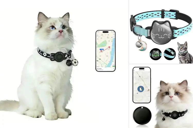 Detailed view of Best Weightless Cat GPS Collars
