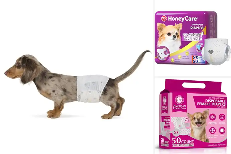 Detailed view of Best Wetness Indicator Dog Diapers